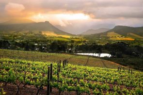 Franschoek Wine Valley